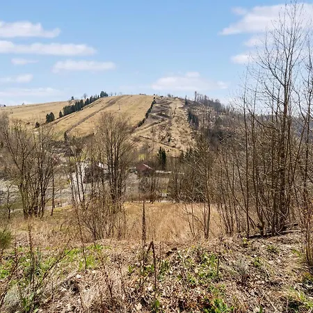 In Im Harz 公寓 圣安德里斯伯格