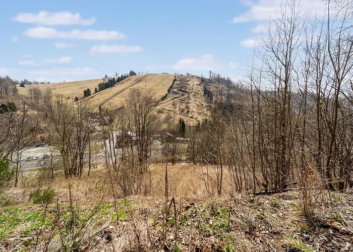 In Im Harz 公寓 圣安德里斯伯格